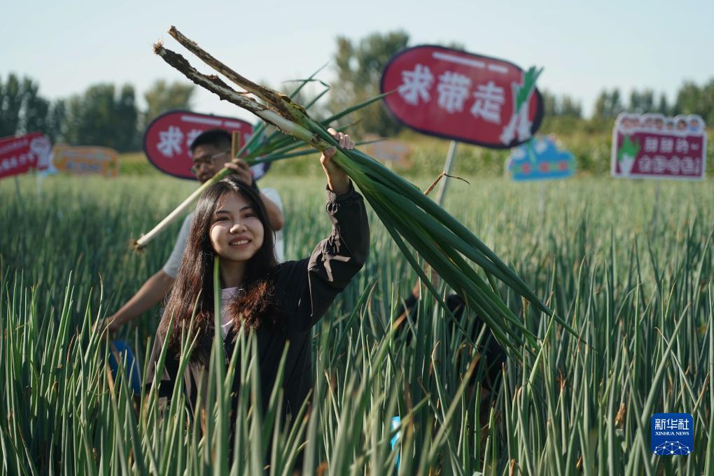 威尼斯欢乐娱人城官网7798